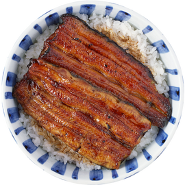 Unagi Rice
